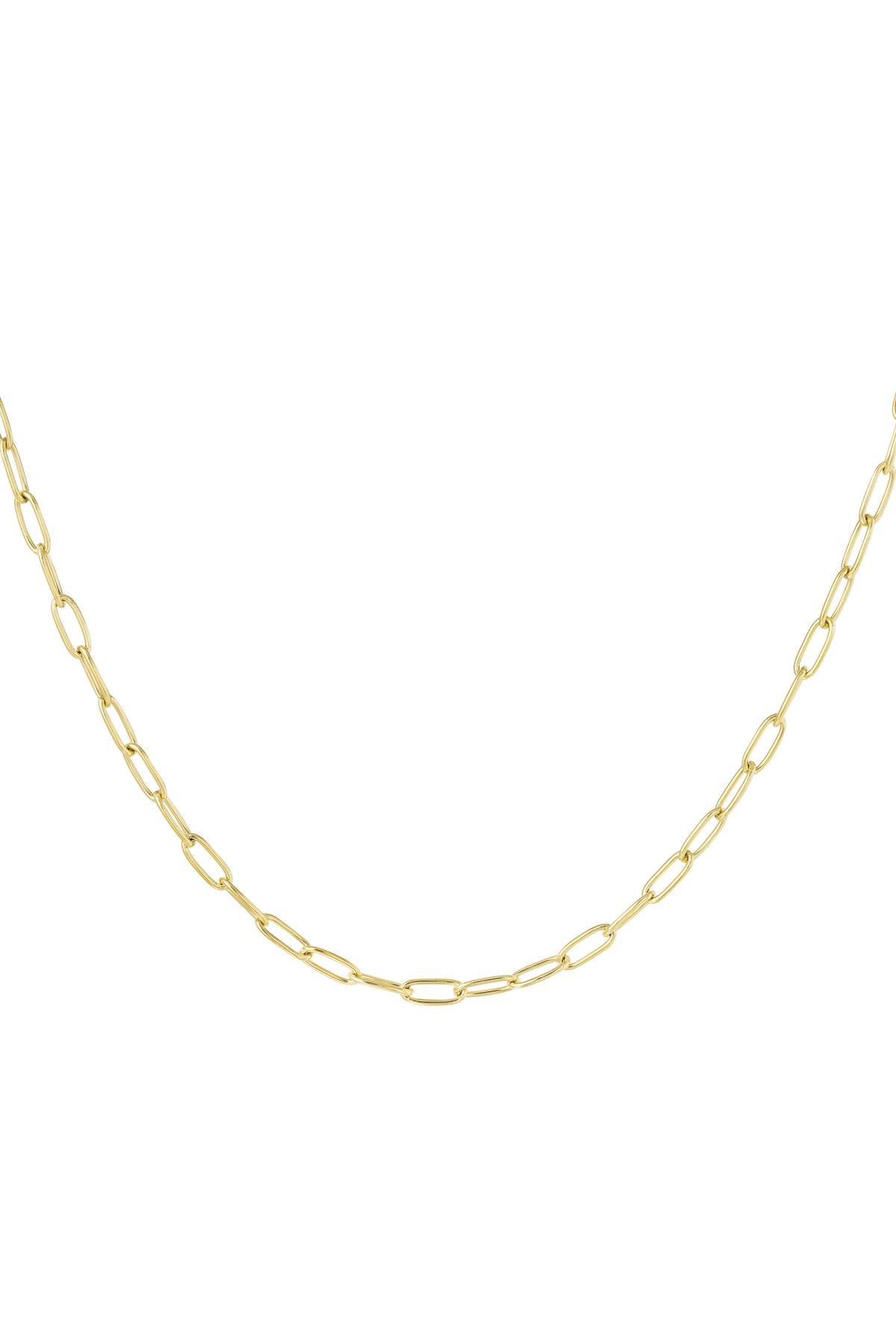 Link chain basic Gold Color Stainless Steel